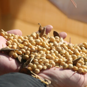 Adachi Saishikomi Shoyu Twice-Brewed Rich Japanese Soy Sauce 300ml - YOYO JAPAN