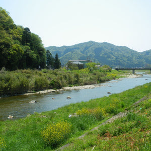 Adachi Saishikomi Shoyu Twice-Brewed Rich Japanese Soy Sauce 300ml - YOYO JAPAN