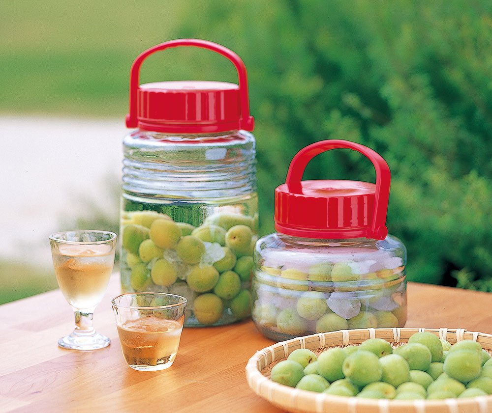 Aderia Plum Wine Bottle 8L Japan With Inner Plug Handle Certified For Long-Term Storage 763 - YOYO JAPAN