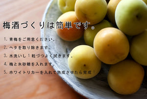 Aderia 4L Plum Bottle Japan Showa Retro Storage Bottle W/ Ladle Rice Wine Fruit Sake Glass Canister Airtight Jar Coffee Beans 721 - YOYO JAPAN