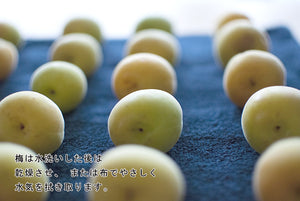 Aderia 4L Plum Bottle Japan Showa Retro Storage Bottle W/ Ladle Rice Wine Fruit Sake Glass Canister Airtight Jar Coffee Beans 721 - YOYO JAPAN