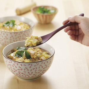 Akebono Gourmet Spoon Scarlet - 18.5cm - YOYO JAPAN