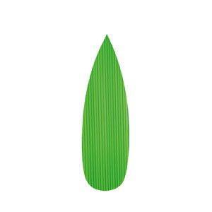 Asahi Sogyo Baran Sushi Decoration Leaf 1000 Pcs Japan Sasagata Medium - YOYO JAPAN