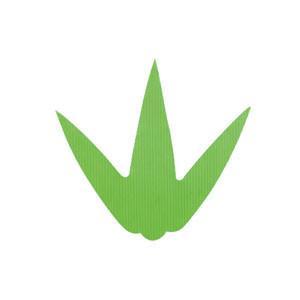 Asahi Sogyo Japan Baran Sushi Decoration Leaf (1000 Pcs) - Sanmai Sasa Small - YOYO JAPAN