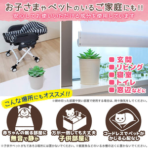 Balsan Insect Repellent 270 Days Odorless Indoor Use Japan - No Electricity Batteries Or Fire Required - YOYO JAPAN