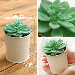 Balsan Insect Repellent 270 Days Odorless Indoor Use Japan - No Electricity Batteries Or Fire Required - YOYO JAPAN