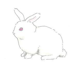 Deleter Neo Pico Line-3 Gray 5-Piece Set for Precision Drawing - YOYO JAPAN