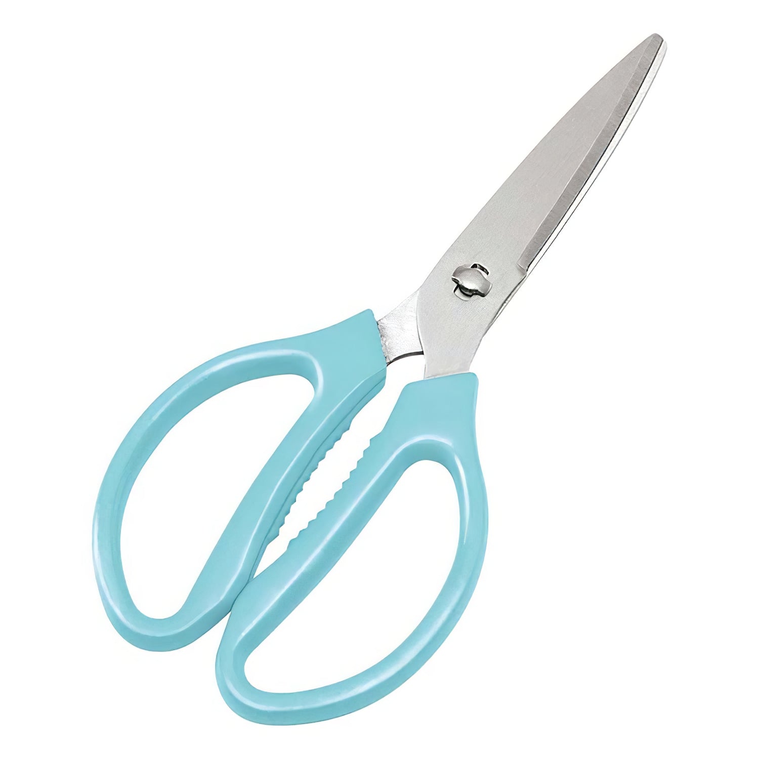 Ebm Stainless Steel Take-Apart Kitchen Scissors Blue - YOYO JAPAN