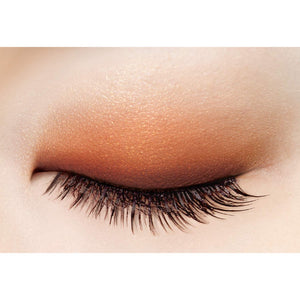 Excel Skinny Rich Shadow Sr05 Japan (Warm Brown) Palette Eyeshadow - YOYO JAPAN