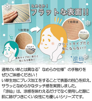 Hagiwara Ryosen 80X170X4Cm Blue 6-Fold Mattress - Made In Japan - YOYO JAPAN