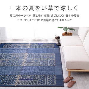 Hagihara Igusa Brown Japanese Pattern Ise Center Rug 81938810 (176X176Cm) - YOYO JAPAN