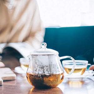 Hario Tea Pot 450ml CHC-45T Heat Res. Glass - YOYO JAPAN