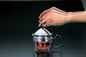 Hario Tea King Cha-2Sv Japan Teapot For 2 Cups - YOYO JAPAN