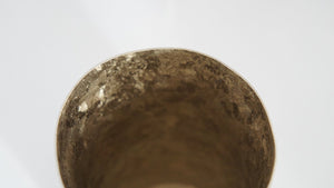 Horie Niigata Tsubame Titanium Double Tumbler Kiln Creation Light 270Cc Gold Japan T09Km270 - YOYO JAPAN