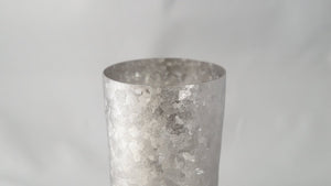 Horie Japan Niigata Tsubame Titanium Double Tumbler Kiln Creation Light 270Cc Silver T09Kms270 - YOYO JAPAN