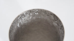 Horie Japan Niigata Tsubame Titanium Double Tumbler Kiln Creation 350Cc Silver T08Kms350 - YOYO JAPAN