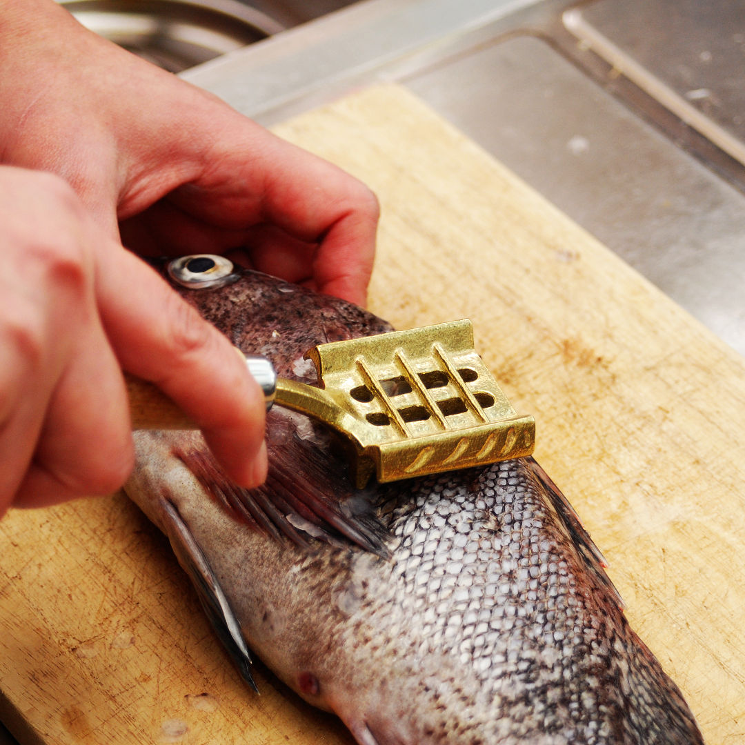 Hoshisan Brass Fish Scaler With Side Wings - YOYO JAPAN