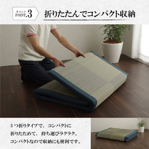 Ikehiko Corporation Japanese Igusa Sheets Bed Pad Noah Raku Raku Single Black - YOYO JAPAN