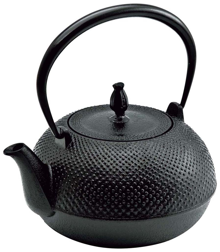 Ikenaga Nambu Cast Iron Tetsubin Kettle Nozomi - YOYO JAPAN