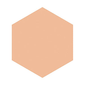 Shiseido Integrate Gracie White Liquid Foundation N SPF26/PA++ Ocher 10 25g - Liquid Foundation - YOYO JAPAN