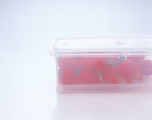 Iwasaki Industry Japan Storage Container Natural Keeper Bat Keeper 1.6L (S) B-380 N - YOYO JAPAN