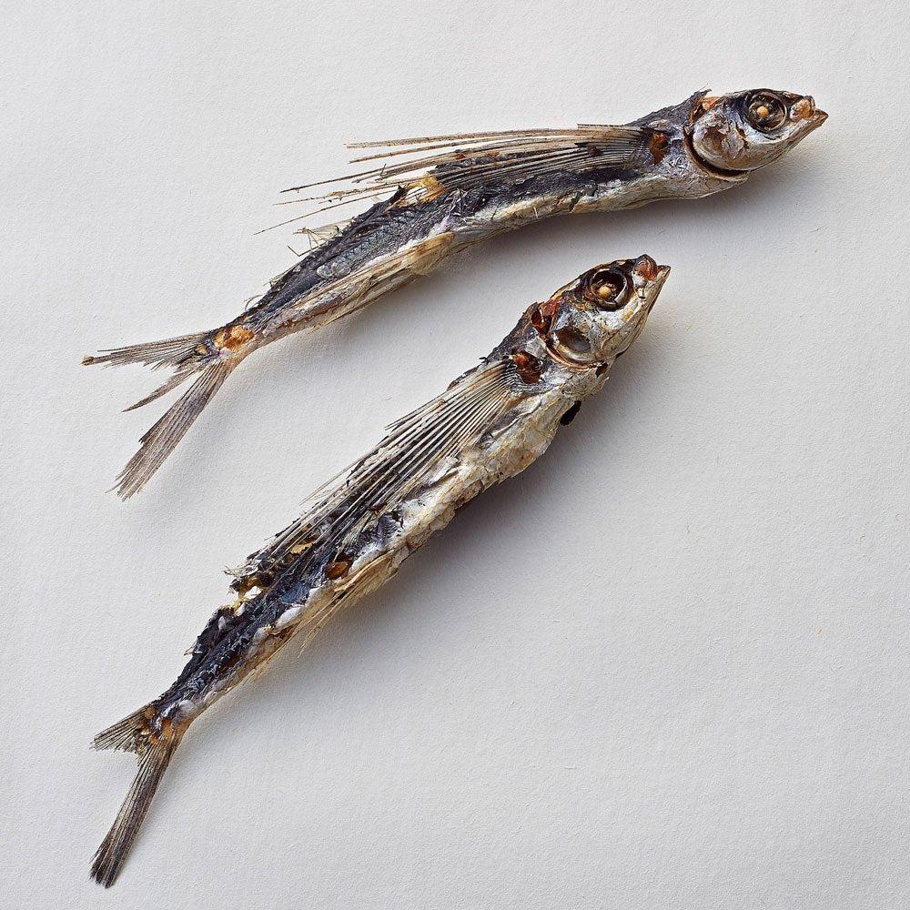 Kyuemon Ago Dashi Natural Flying Fish Stock Powder 15 Packets - YOYO JAPAN