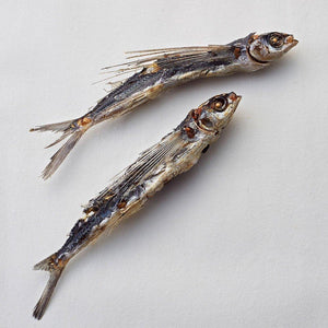 Kyuemon Ago Dashi Natural Flying Fish Stock Powder 15 Packets - YOYO JAPAN