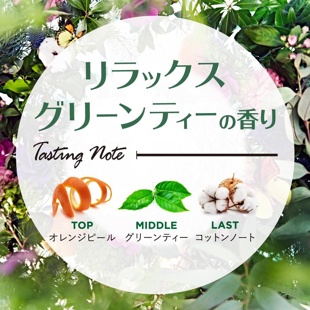 Laundry - Relax Green Tea Fragrance Paper - 1 Sheet Botanical Essence - YOYO JAPAN