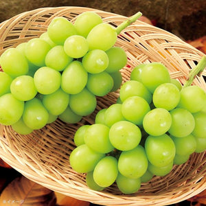 Lion Japanese Shine Muscat Grape Functional Hard Candy 71g - YOYO JAPAN