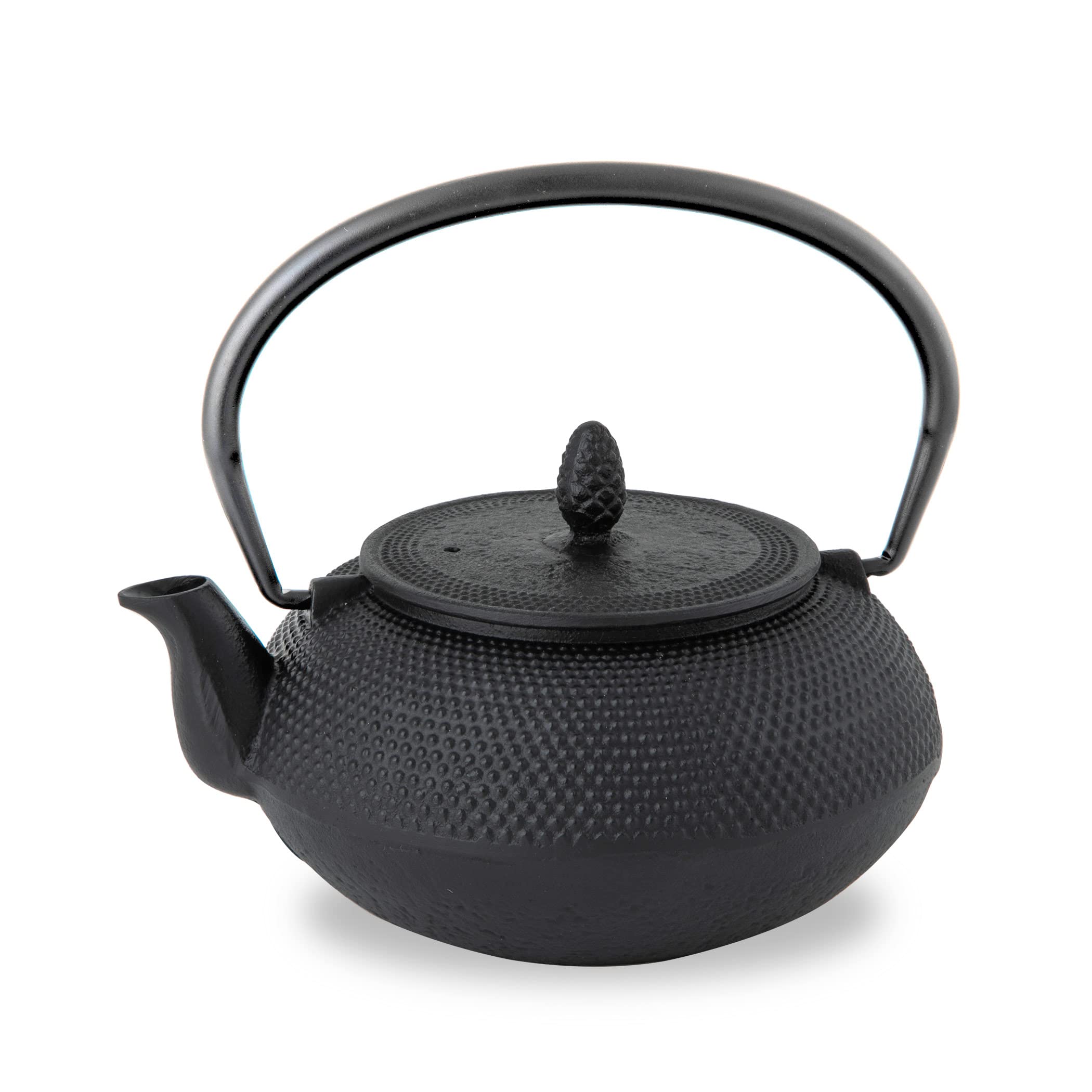 Ren Of Nambu Ironware Teapot (Arare Round 0.6L Black) Japan Enameled Tea Pot W/ Strainer Traditional Crafts Souvenir - YOYO JAPAN