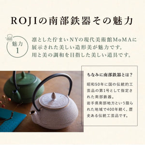 Ren Of Nambu Ironware Teapot (Arare Round 0.6L Black) Japan Enameled Tea Pot W/ Strainer Traditional Crafts Souvenir - YOYO JAPAN