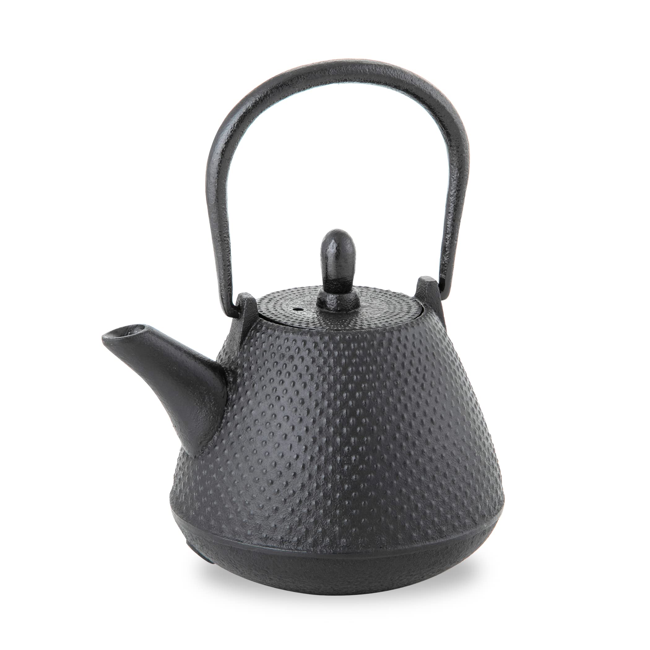 Nambu Tekki Teapot 0.4L - Black Black Made In Japan Enameled Inside Tea Strainer Traditional Crafts Japanese Tea Pot Souvenir - Ren Of Japan - YOYO JAPAN