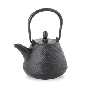 Nambu Tekki Teapot 0.4L - Black Black Made In Japan Enameled Inside Tea Strainer Traditional Crafts Japanese Tea Pot Souvenir - Ren Of Japan - YOYO JAPAN