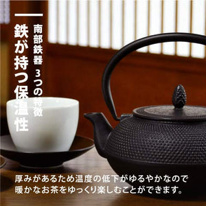 Nambu Tekki Teapot 0.4L - Black Black Made In Japan Enameled Inside Tea Strainer Traditional Crafts Japanese Tea Pot Souvenir - Ren Of Japan - YOYO JAPAN