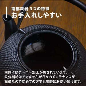Nambu Tekki Teapot 0.4L - Black Black Made In Japan Enameled Inside Tea Strainer Traditional Crafts Japanese Tea Pot Souvenir - Ren Of Japan - YOYO JAPAN