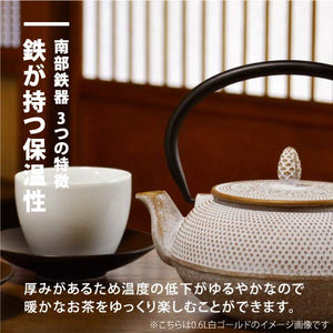 Ren Of Nambu Tekki Teapot 0.4L Japan - Arare Dome Purple - Enameled Tea Strainer Included - YOYO JAPAN