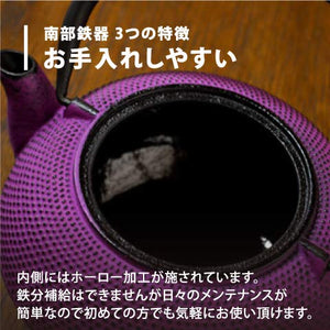 Ren Of Nambu Tekki Teapot 0.4L Japan - Arare Dome Purple - Enameled Tea Strainer Included - YOYO JAPAN