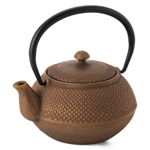 Ren Of Japan Nanbu Tekki Iron Bottle Teapot Arale Round Shape W/Tea Strainer Enamel Finish Arare Small/No Ren Original Tea - YOYO JAPAN