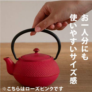 Ren Of Japan Nanbu Tekki Iron Bottle Teapot Arale Round Shape W/Tea Strainer Enamel Finish Arare Small/No Ren Original Tea - YOYO JAPAN