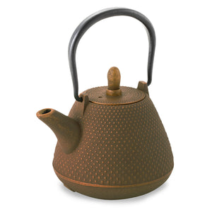Ren Of Nanbu Tekki Teapot 0.4L Arare Dome Brown Japan Tea Pot W/Strainer - Traditional Crafts - YOYO JAPAN