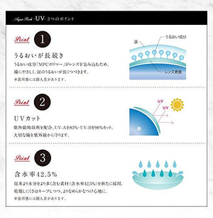 Loveil Lavert One Day 10 Japan Innocent Ash -7.00 Ravert - YOYO JAPAN