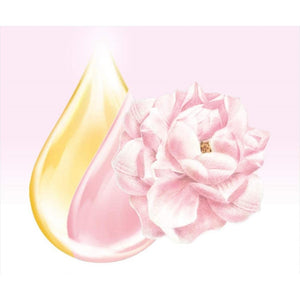 Lux Body Soap Soft Rose Foaming Body Wash 450g - YOYO JAPAN