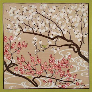 Maeda Senko Cotton Furoshiki Bento Lunch Cloth (Winter Ume Blossoms) - YOYO JAPAN