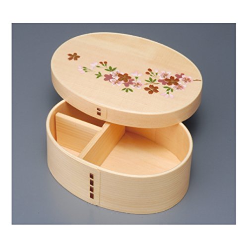 Ruozhao Magewappa Japan Single Tier Lunch Box Ph01W-2 Sakura - YOYO JAPAN