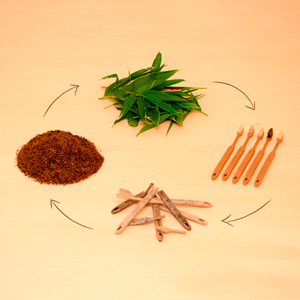 Meguru Eco Friendly Vegan Bamboo Toothbrush Regular Bristle - YOYO JAPAN