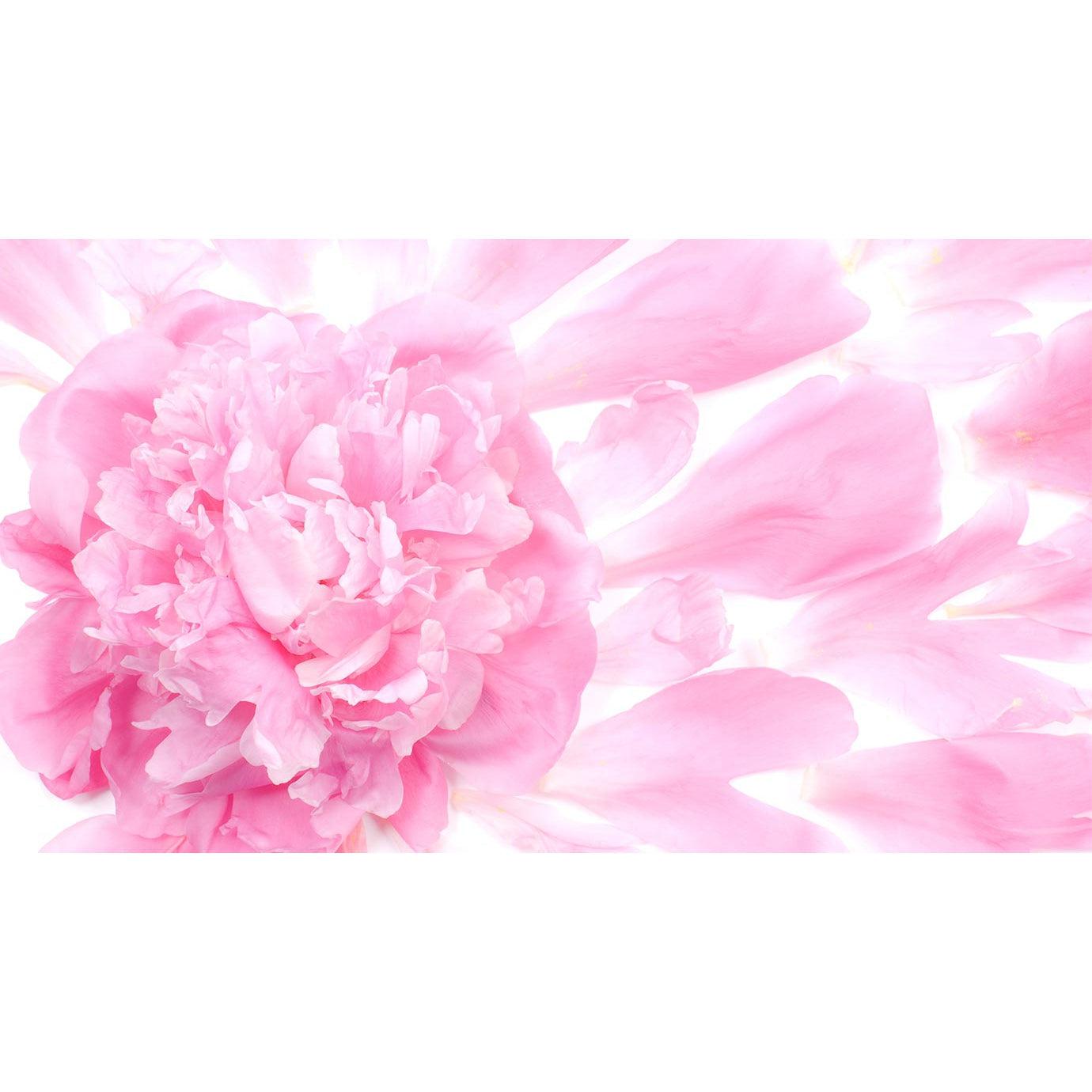 Milbon Jemile Fran Hair Treatment for Fine Hair 500g - YOYO JAPAN