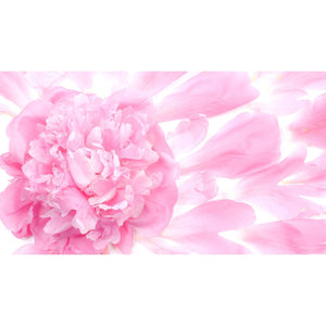 Milbon Jemile Fran Hair Treatment for Fine Hair 500g - YOYO JAPAN