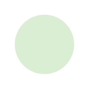 Naturactor Summer Cake Sweat Proof Water Based Foundation 16g - YOYO JAPAN