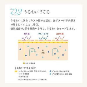 Naturaglace UV Powder Compact SPF50 PA++++ 12g - Japanese Face Makeup Base Products - YOYO JAPAN