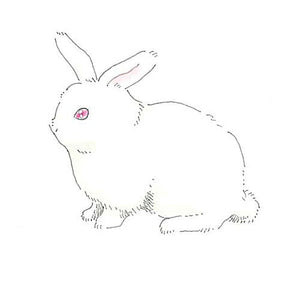 Deleter Neo Pico Line 3 Gray 0.03Mm Ultra-Fine Pen - YOYO JAPAN